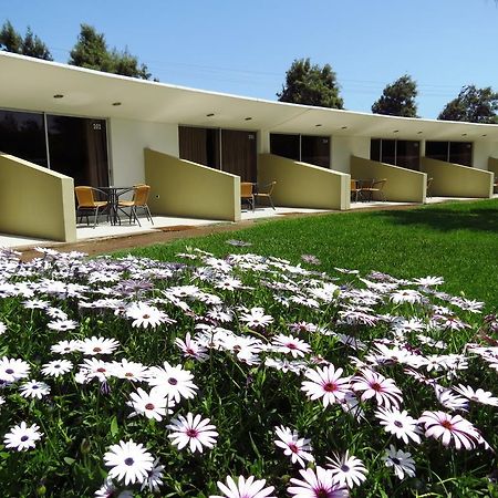 El Paso Park Hotel Arica Kültér fotó